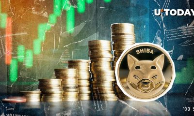 +12,887.11% for Shiba Inu (SHIB)? This Metric Raises Eyebrows