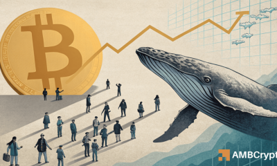 Bitcoin: As 2 major groups return, is BTC ready for a strong rebound?