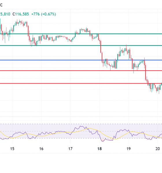 Bitcoin Price Reclaims $115K Support, But Here's Why It's Not Out Of the Woods Yet