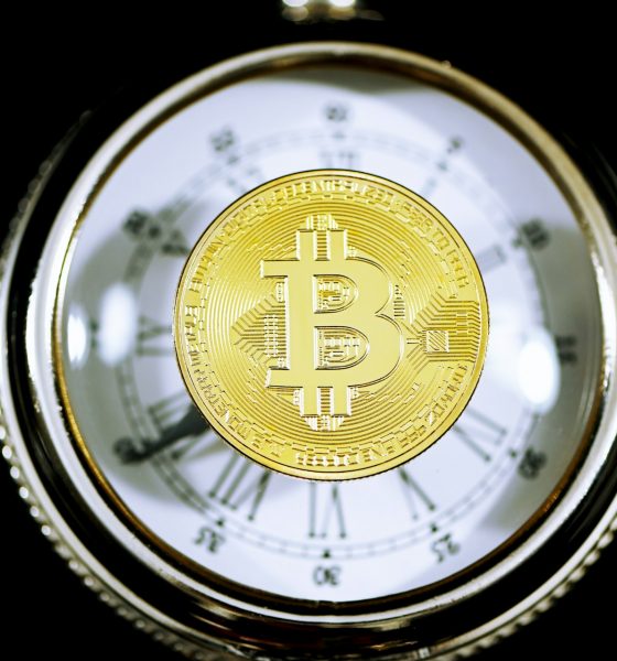 Bitcoin Sees Rising New Investor Dominance, Old Holders Yet To Capitulate