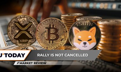 Bitcoin's 2025 Dominance Cracks, XRP: Top 5 Rally in 2025, Shiba Inu (SHIB): Key Breakthrough in Process?