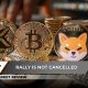 Bitcoin's 2025 Dominance Cracks, XRP: Top 5 Rally in 2025, Shiba Inu (SHIB): Key Breakthrough in Process?