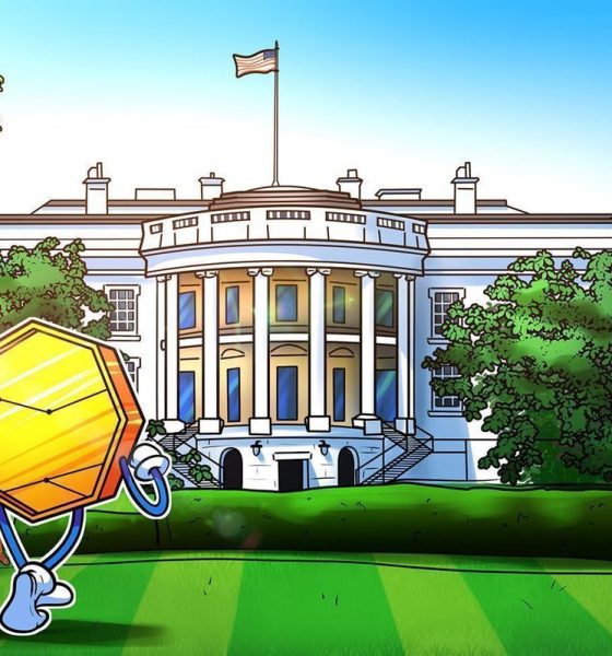 Bo Hines, Leader of the White House Crypto Council, Steps Down