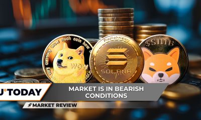 Can Shiba Inu (SHIB) Mini-Golden Cross Help? Dogecoin (DOGE): Worst Move in Q4? Solana's (SOL) Surprising Price Boost?