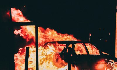 Crypto Disaster: Qubetics Token Crashes Nearly 100%—Possible Rug Pull