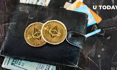 Ethereum Hits Major 2025 Year Peak Despite Price Dropping to $3,500