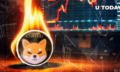 Key SHIB Metric Soars 1,047%, Costing 158,727,357 Shiba Inu