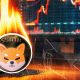Key SHIB Metric Soars 1,047%, Costing 158,727,357 Shiba Inu