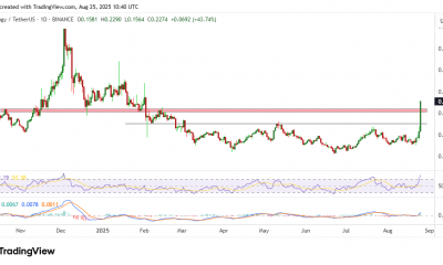 Ontology Price Chart