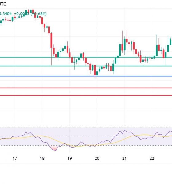 Pi Coin Price Gains on Migration Talk, But the Correction Faces Stern Test