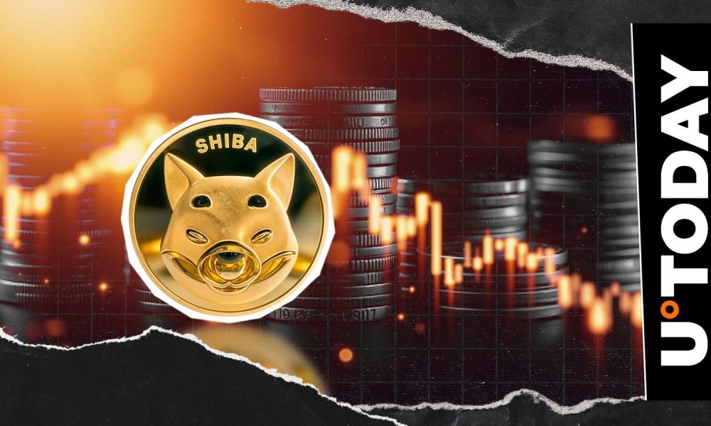 SHIB Price Crashes but Team Doesn't Give Up, Major Statement Says