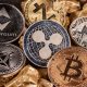 The altcoin uprising: Ether, Solana, and BNB defy market fear as Bitcoin stalls