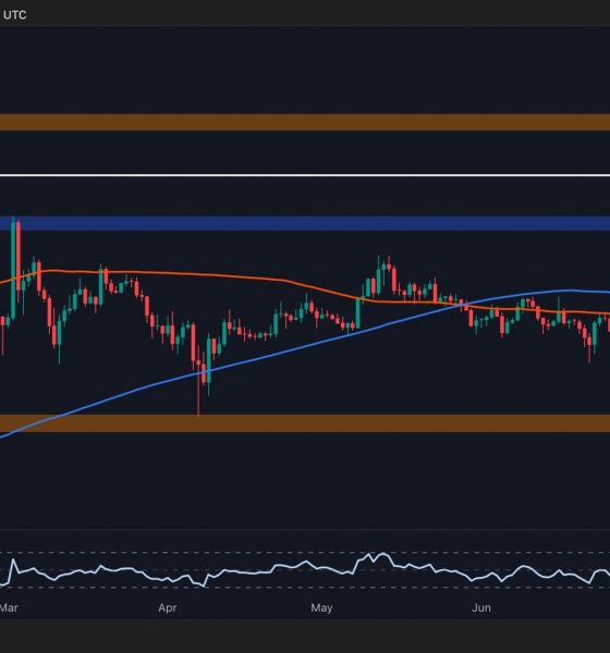 These Are XRP's Next Defense Lines After a Breakdown Below $3