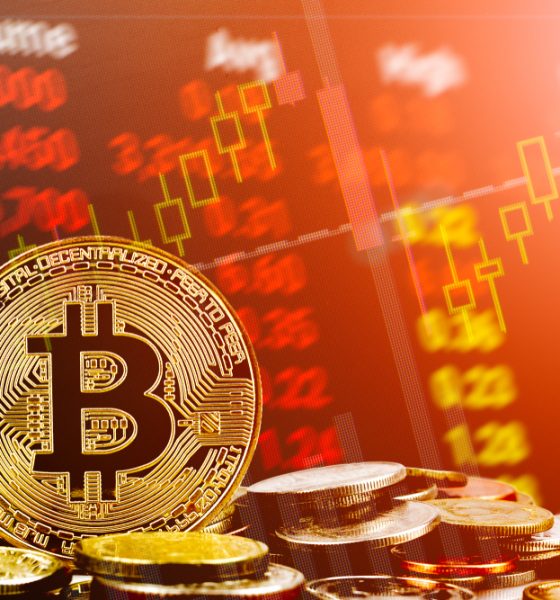 What sparked the sudden crypto market surge?