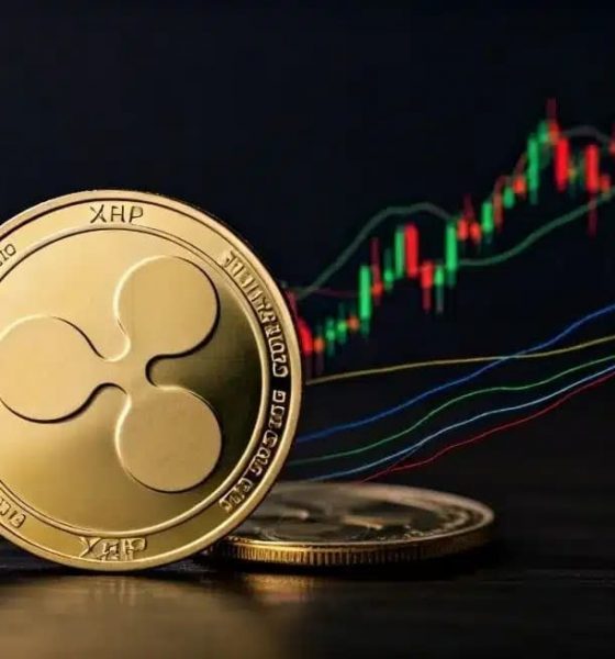 What’s Next For XRP After Crashing Below $3? Analyst Answers