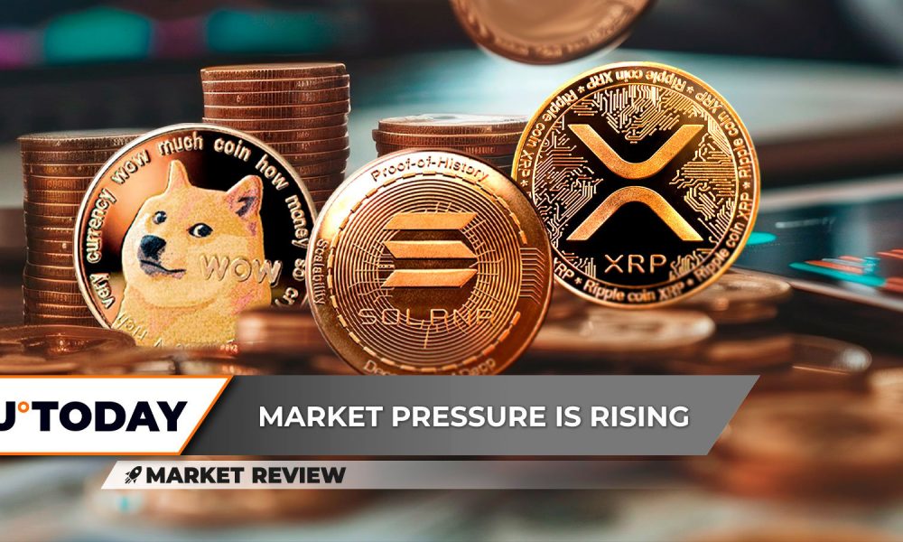 XRP Paints Critical Divergence, Dogecoin (DOGE): Last Chance, Explosive Solana (SOL) Rally Now?