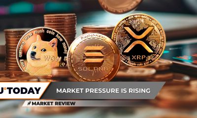 XRP Paints Critical Divergence, Dogecoin (DOGE): Last Chance, Explosive Solana (SOL) Rally Now?