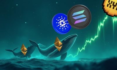XYZVerse (XYZ) at $0.0054 Chosen Over Solana and Cardano for $10 This Bull Run Target