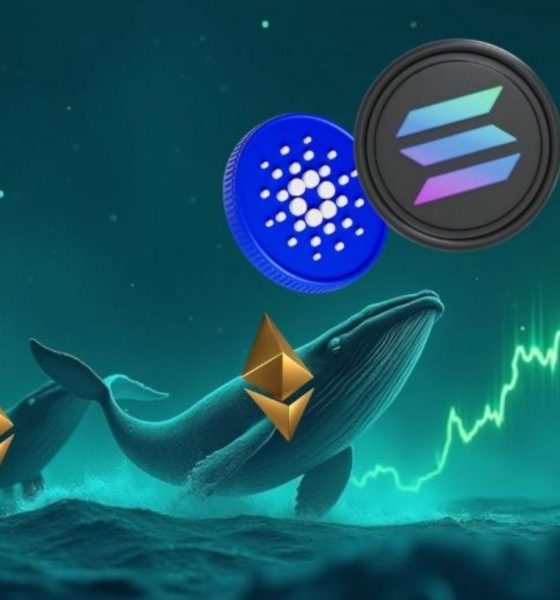 XYZVerse (XYZ) at $0.0054 Chosen Over Solana and Cardano for $10 This Bull Run Target