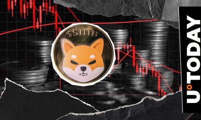 -243,735,301,882 Shiba Inu (SHIB) in 24 Hours Critically Important: Details