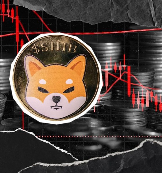 -243,735,301,882 Shiba Inu (SHIB) in 24 Hours Critically Important: Details