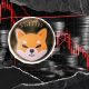 -243,735,301,882 Shiba Inu (SHIB) in 24 Hours Critically Important: Details