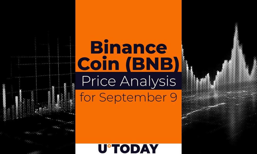 Binance Coin (BNB) Price Prediction for September 9