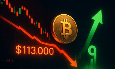 Bitcoin Falls Below $113,000, But This Indicator Says It's Time To Buy