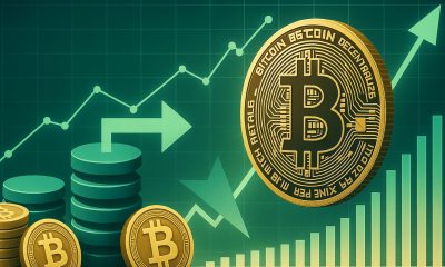 Bitcoin Market Absorbs Supply In Batches: VDD Highlights Mature Bull Phase
