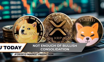 Crypto Market Prediction: Shiba Inu (SHIB) Moon Landing, Dogecoin (DOGE) Trapped in $0.23, XRP: Most Important Event for $3