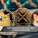 Crypto Market Prediction: Shiba Inu (SHIB) Moon Landing, Dogecoin (DOGE) Trapped in $0.23, XRP: Most Important Event for $3