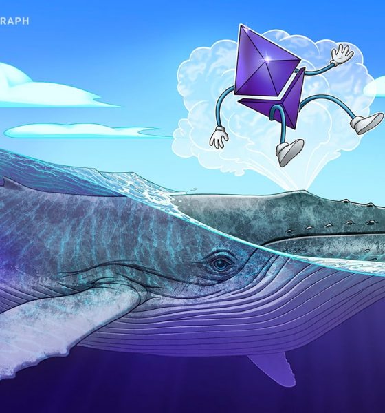 Ethereum Co-Founder Moved $6M of ETH; Whales Bought $1.6B In 2 Days