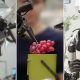 Google DeepMind introduces Gemini Robotics 1.5 – WATCH robots plan, analyse, and act