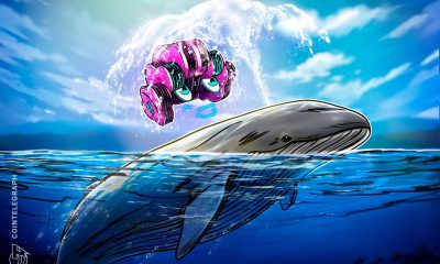 How Smart Traders Use AI to Track Whale Wallet Activity