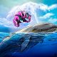 How Smart Traders Use AI to Track Whale Wallet Activity