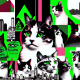 Hyperliquid’s Hypurr NFTs Settle at $55,000 Floor Amid Ecosystem Expansion