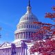 Industries, Senators clash over crypto market structure legislation