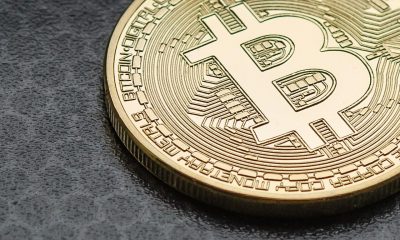 Is The Bitcoin Price Bottom In? Here’s What Social Sentiment Says