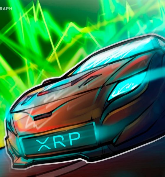 Is XRP Price Going to Recover in October?