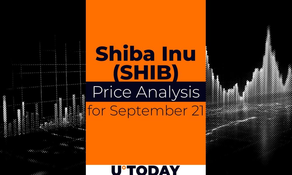 SHIB Price Prediction for September 21