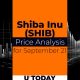 SHIB Price Prediction for September 21