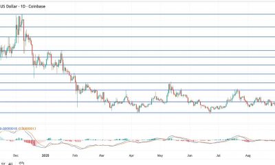 Shiba Inu Price Slips After Shibarium Hack as PEPE Gains Traction