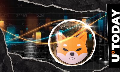 Shiba Inu (SHIB) Faces Brutal Test With Shibarium Hack Uncertainty, 50% Crash in Play