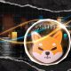 Shiba Inu (SHIB) Faces Brutal Test With Shibarium Hack Uncertainty, 50% Crash in Play