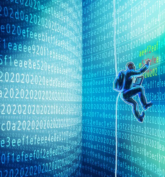 Web3 White Hats Earn Millions, Dwarfing $300K Cybersecurity Salaries