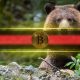 Why Bitcoin's (BTC) 4-Year Cycle Points to a $50K Crash by 2026