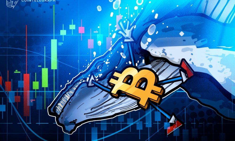 $11B Bitcoin Whale Shorts Bitcoin for $235M, Nets $200M In Market Crash