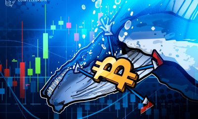 $11B Bitcoin Whale Shorts Bitcoin for $235M, Nets $200M In Market Crash