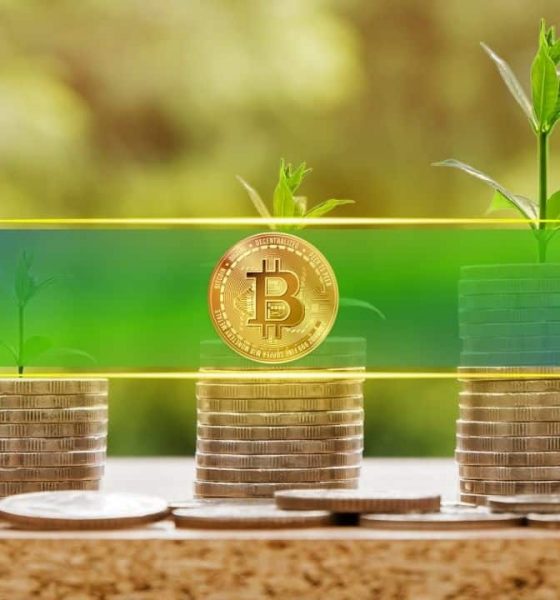 Bitcoin Accumulation Patterns Show Late-Stage Cycle Maturity, Not Definite End: CryptoQuant