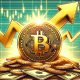 Bitcoin Price Stabilizes After Drop